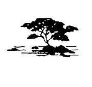 Central Coast Physical Therapy, Inc Logo